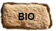 BIO